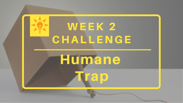 Week 2: Humane Trap