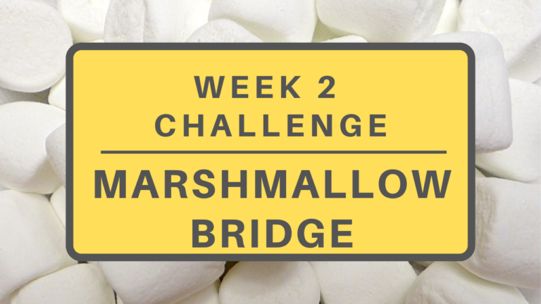 Week 2: Marshmallow Bridge